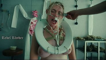 The most beautiful toilet pet in the world